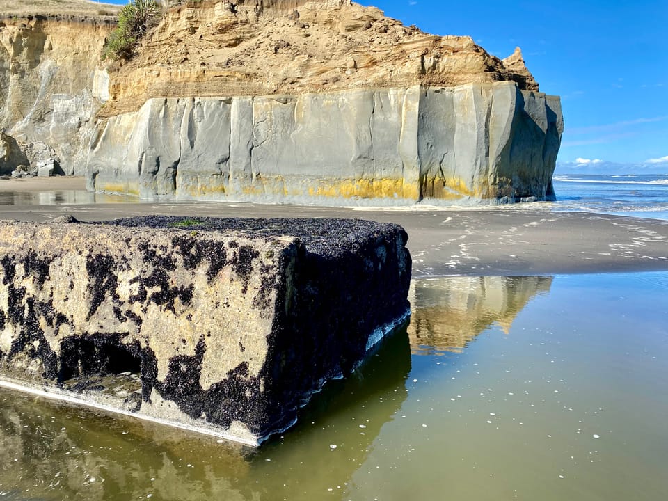 May all gun emplacements become safe haven for kaimoana